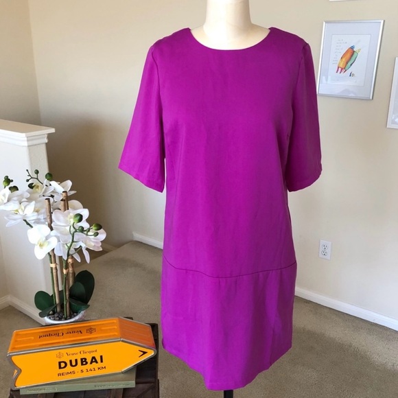 PIM + LARKIN magenta drop waist shift dress - Picture 3 of 4